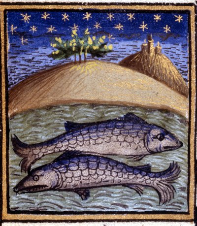 Fiskarna. Miniatyr av ett horoskop. 1400-talsmanuskript. Bibl. Trivulziana, Milano. av Unknown artist