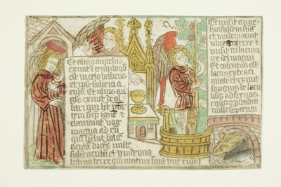 The Vintage of the Grapes of the Vine, från Blockbook Apocalypse av Unknown artist