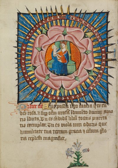 Jungfru Maria med barnet i en rosa ros med vit lilja av Unknown artist