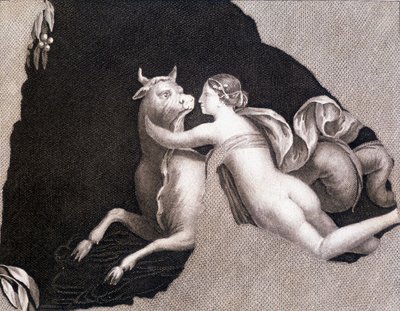 Bortförandet av Europa - gravyr av Unknown artist