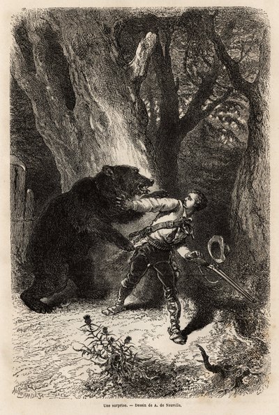 Författaren, under en utflykt runt Jacksonville, överraskas i skogen av en inhemsk björn och kedja. Gravyr för att illustrera berättelsen fyra månader i Florida, av Achille Pousselgue 1851-1852, publicerad i "" Le tour du monde"" 1870-1871, redigerad av Unknown artist