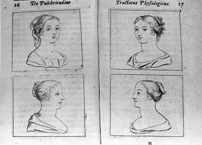 De olika kvinnliga profilerna Page hämtade från "Tractatus physiologicus de beautye" handlar om Ernesto Venio (Ernestus Vaenius) som försvarar skapelsens skönhet mot en anonym motståndare. 1612 av Unknown artist