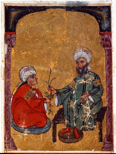 Doktorn och botanikern Pedanius Dioscoride (Dioscorides) (40-90 e.Kr.) förklarar för en av sina elever fördelarna med miniatyrväxter som härrör från hans avhandling "De materia medica"" (Fol. 2 verso) Från Irak. 1229 Topkapi Sarayi Museum Library, Istanbul av Unknown artist