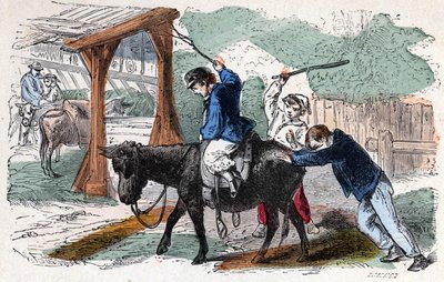 Åsnan på gården. 1800-talsillustration. Bianchetti samling. av Unknown artist