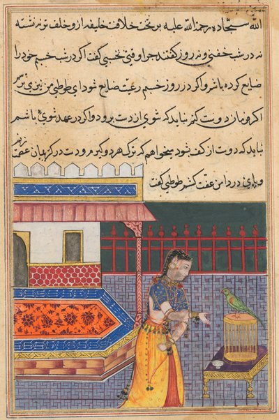 Papegojan tilltalar Khujasta i början av den fyrtioförsta natten, från en Tuti-nama (Berättelser om en papegoja): Forty-first Night av Unknown artist