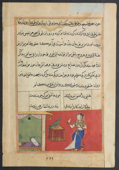 Papegojan tilltalar Khujasta i början av den fyrtiosjunde natten, från en Tuti-nama (Berättelser om en papegoja): Forty-seventh Night av Unknown artist
