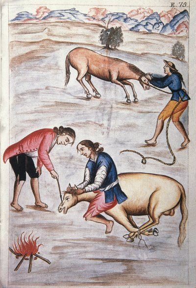 Den röda järnmärkningen av ett sto, från boken "Trujillo del Peru" eller "Codex Martinez Companion", av Baltazar Martinez Companion och Bujanda, biskop av Trujillo (1782-1785) av Unknown artist