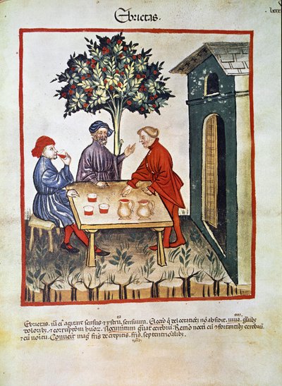 Behandla medicin: "" fylleri"" Sidan hämtad från "" Tacuinum sanitatis"" (Cod. ser. nov. 2644) Runt 1400 Wien, Österrikes nationalbibliotek av Unknown artist