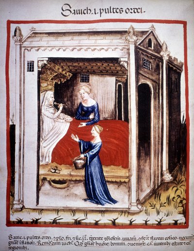 Avhandling om medicin "" Tacuinum sanitatis""" 1300-talet: en patient assisterad av sjuksköterskor. B.N., Wien. av Unknown artist