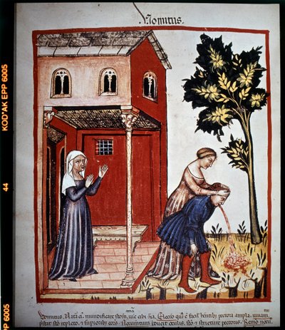 Avhandling om medicin "Tacuinum sanitatis"" från 1300-talet: kräkningar. B.N., Wien. av Unknown artist