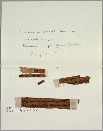 Två fragment av bark med sanskrit av Unknown artist