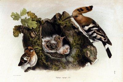 Okänd bild av Unknown artist