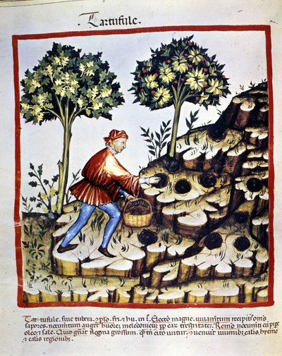 Okänd bild av Unknown artist