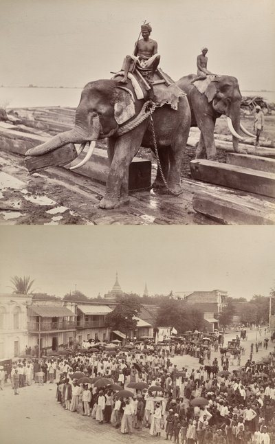 Utan titel: (elefanter som flyttar träblock, recto); (procession eller folkmassa, verso) av Unknown artist