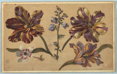 Olika blommor av Unknown artist