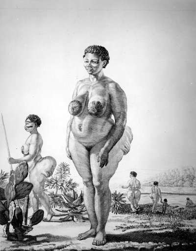 Venus Hottentote i Sydafrika av Unknown artist