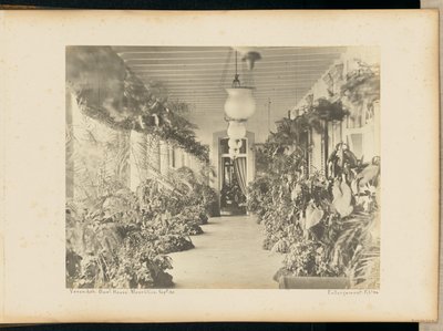 Verandan. Regeringens hus. Maurituis. av Unknown artist