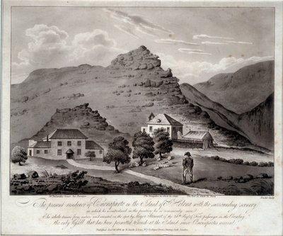 Vy över ön Sainte Helene (Ile Sainte-Helene) Gravyr av 1800-talets Malmaison. Slottsmuseet av Unknown artist