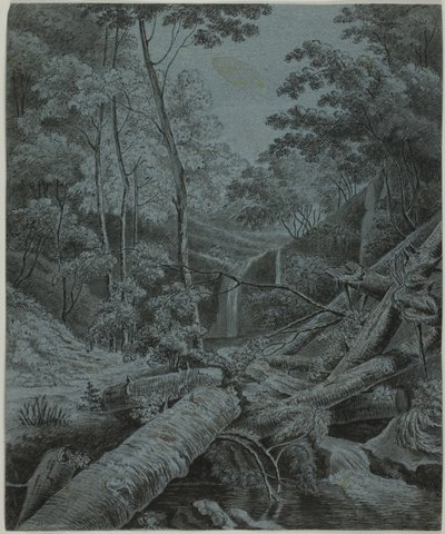 Vattenfall och nedfallna stockar i skog av Unknown artist