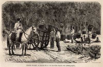 När kaffet är hämtat samlar och transporterar männen de tunga korgarna fyllda med kaffefeber, medan barnen rengör fruktköttet som omger kaffefeberna. Gravyr för att illustrera resan till Brasilien, berättelse av M. och Mme Agassiz, 1865-18 av Unknown artist