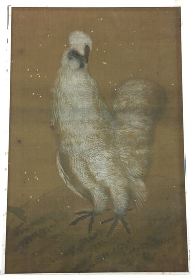 Vit tupp av Unknown artist
