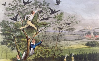 Who-Whoop! Jag har gjort det - Raiding the Rookery från Nimrods "The Life of a Sportsman av Unknown artist