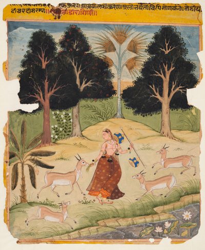 Kvinna som matar rådjur: Todi Ragini, från en Ragamala av Unknown artist