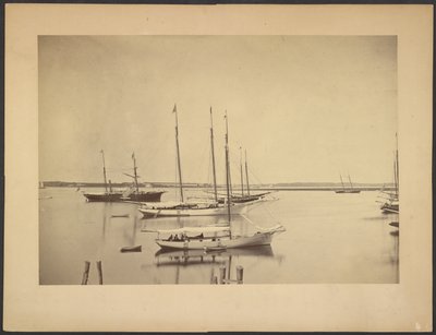 [Yachter i hamnen] av Unknown artist