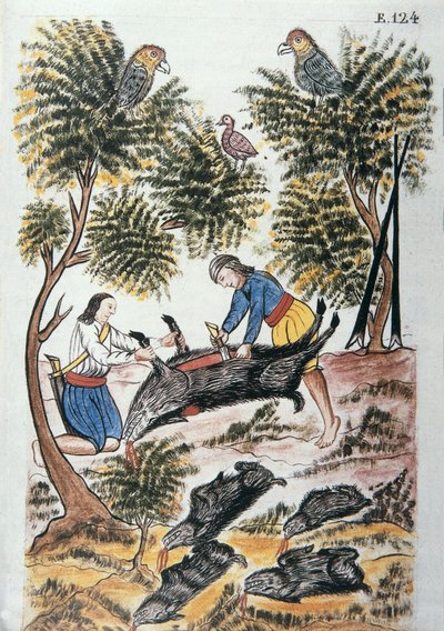 Unga indier motilones slaktar ett vildsvin, från boken "Trujillo del Peru" eller "Códice Martínez Compañón", av Baltazar Martinez Compañón y Bujanda, biskop av Trujillo (1782-1785) av Unknown artist