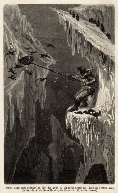 Ung eskimau som fångar arktiska pingviner. Gravyr för att illustrera resan till den arktiska polens fria hav, av doktor Hayes, kirurg vid den amerikanska flottan, 1860-1862, publicerad i "Le tour du monde, nouveau journal des voyages", redigerad av Edouard av Unknown artist