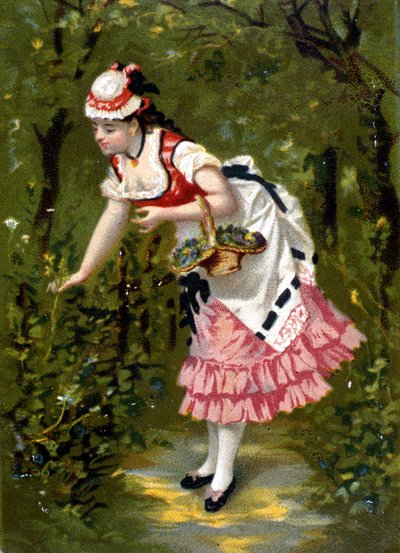 Ung kvinna som plockar blommor. Kromolitografi/ av Unknown artist