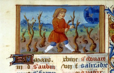 Stjärntecken Vädur och trädstorlek - Miniatyr av medeltiden (ref. 137, 047r) - Begär tillstånd från Toulouses kommunala bibliotek (tel: 05 62 27 66 66) av Unknown artist