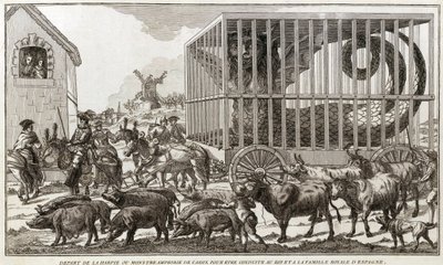 Zoomorphism - Karikatyr mot Maria - Antoinette - Avgick från harpyn eller amfibiemonstret i Cadiz för att föras till kungen och kungafamiljen i Spanien: Detta djur togs vid stranden av Faguasjön - 1784 - av Unknown artist