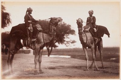 Camel Sowars på Delhi Camp of Exercise av Unknown photographer