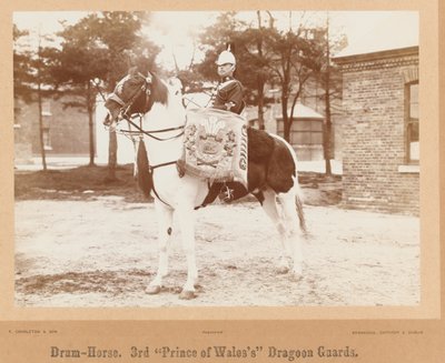 ?Trumhäst, 3rd Prince of Wales?s Dragoon Guards?, 1895 ca. av Unknown photographer