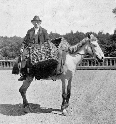 Irländsk man på sin häst (1800-talet). av Unknown photographer