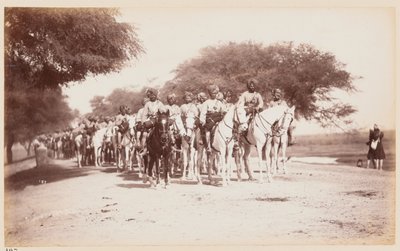 Nabhas infödda kavallerikontingent vid övningslägret i Delhi av Unknown photographer