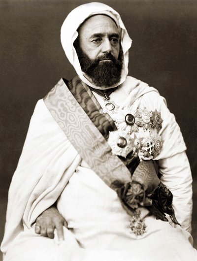 Porträtt av Abd el Kader (Abd El-Kader) omkring 1875. av Unknown photographer