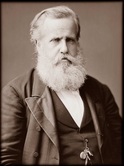 Porträtt av Dom Pedro II (Peter II) (Dom Pedro de Alcantara) (1825-1891), kejsare av Brasilien av Unknown photographer