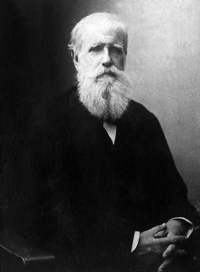 Porträtt av Dom Pedro de Alcantara (Peter II) (1825-1891), kejsare av Brasilien. av Unknown photographer