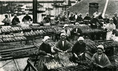 Sardinindustri, Finistère, Storbritannien (svartvitt foto) av Unknown photographer
