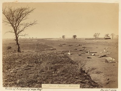 ?Överraskningsscen för xciv-regementet?, 1881 av Unknown