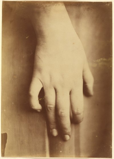 Studie av en hand,1865 (foto) av Unknown photographer