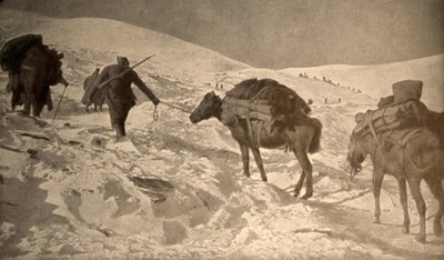 De franska och italienska positionerna har mer än 2 meter snö över havsnivån av Unknown photographer