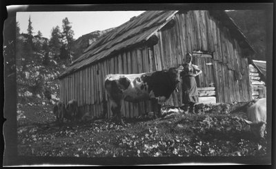 Vorderbachalm (bergsbete) med alpstuga nära Goessl vid Grundlsjön av Unknown photographer