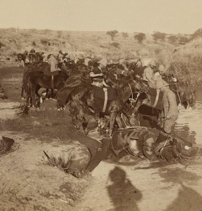Vattning av artillerihästar, Welgelegen, Sydafrika av Unknown photographer