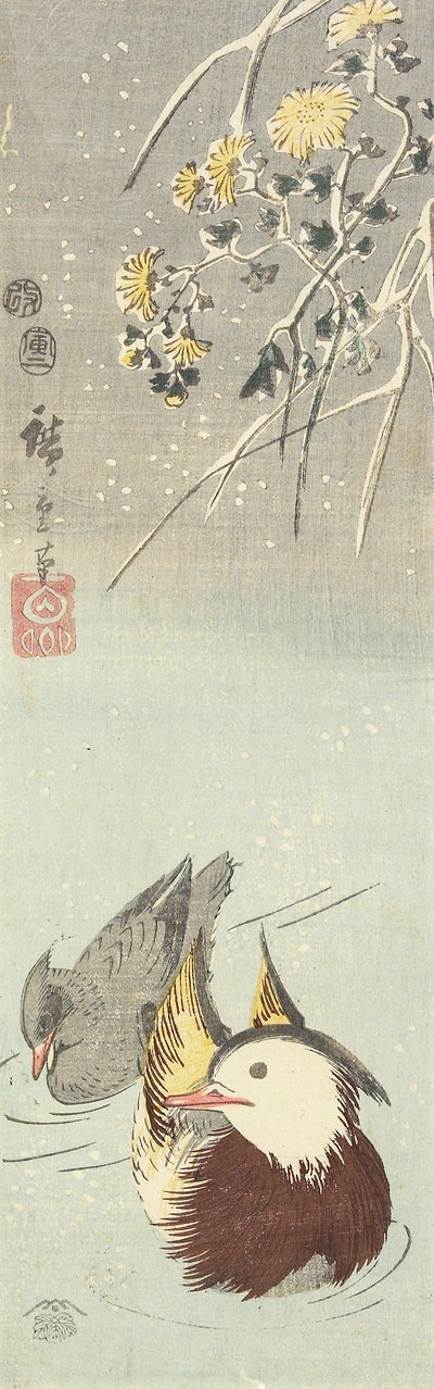 (Chrysanthemum and Mandarin Ducks), februari 1854 av Utagawa Hiroshige