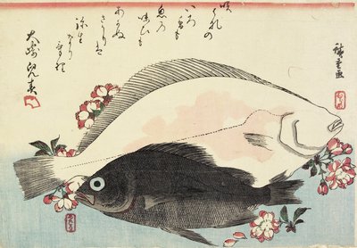 (Fluke and Black Bass, Cherry Blossoms) av Utagawa Hiroshige