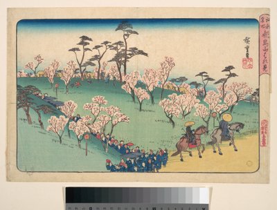 Hanami i Asukayama av Utagawa Hiroshige