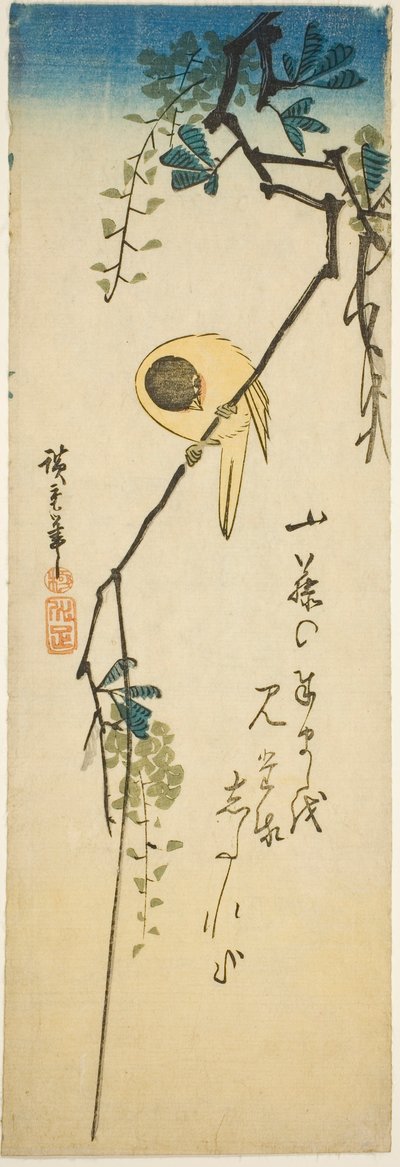 Fågel på silkeslen blåregn av Utagawa Hiroshige